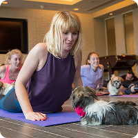 Puppy Paws Yoga - Ann Arbor, MI